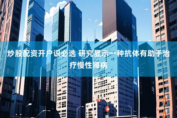 炒股配资开户识必选 研究显示一种抗体有助于治疗慢性肾病