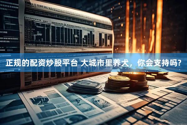 正规的配资炒股平台 大城市里养犬，你会支持吗?